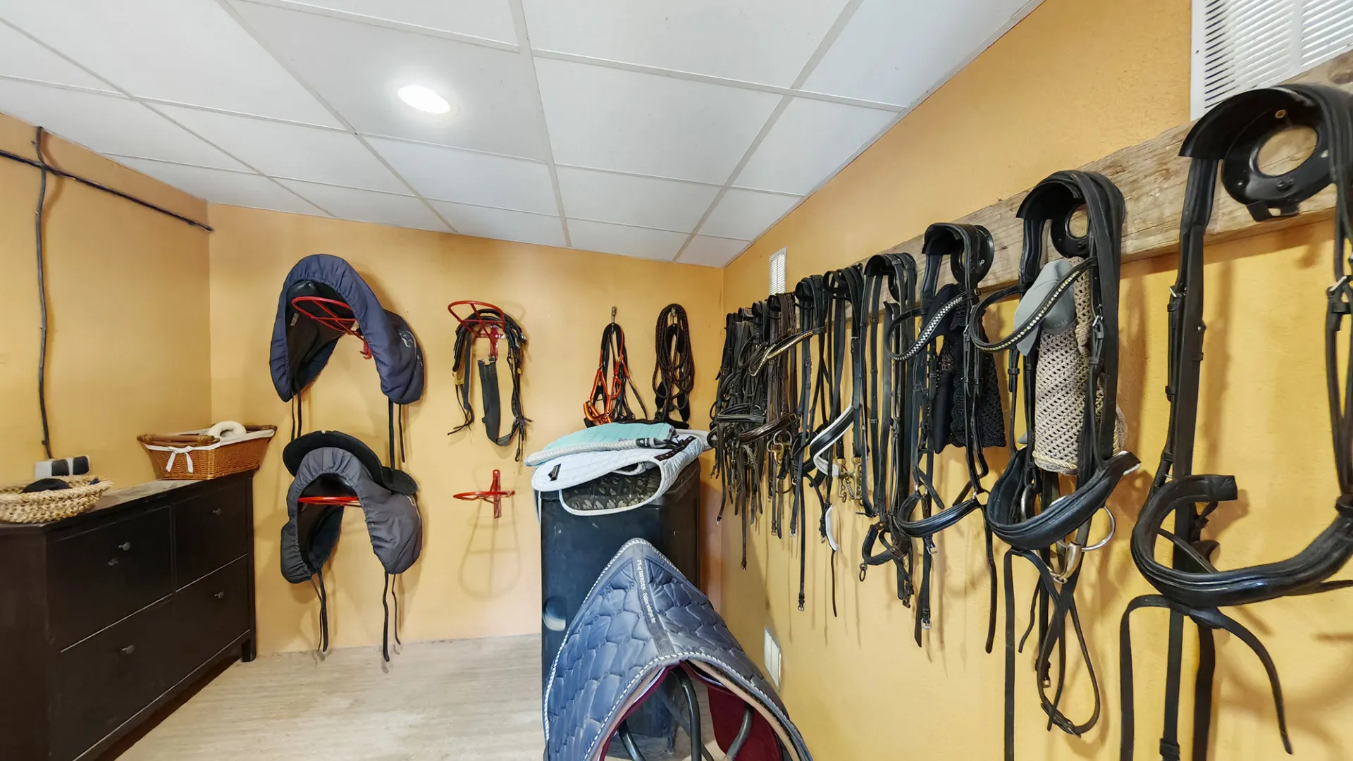 Coin, finca en venta