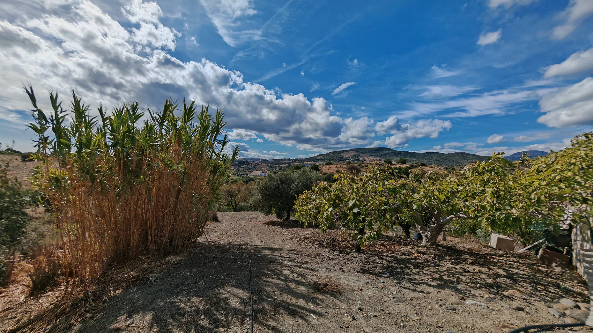 3 bedrooms finca for sale in Guadalobon