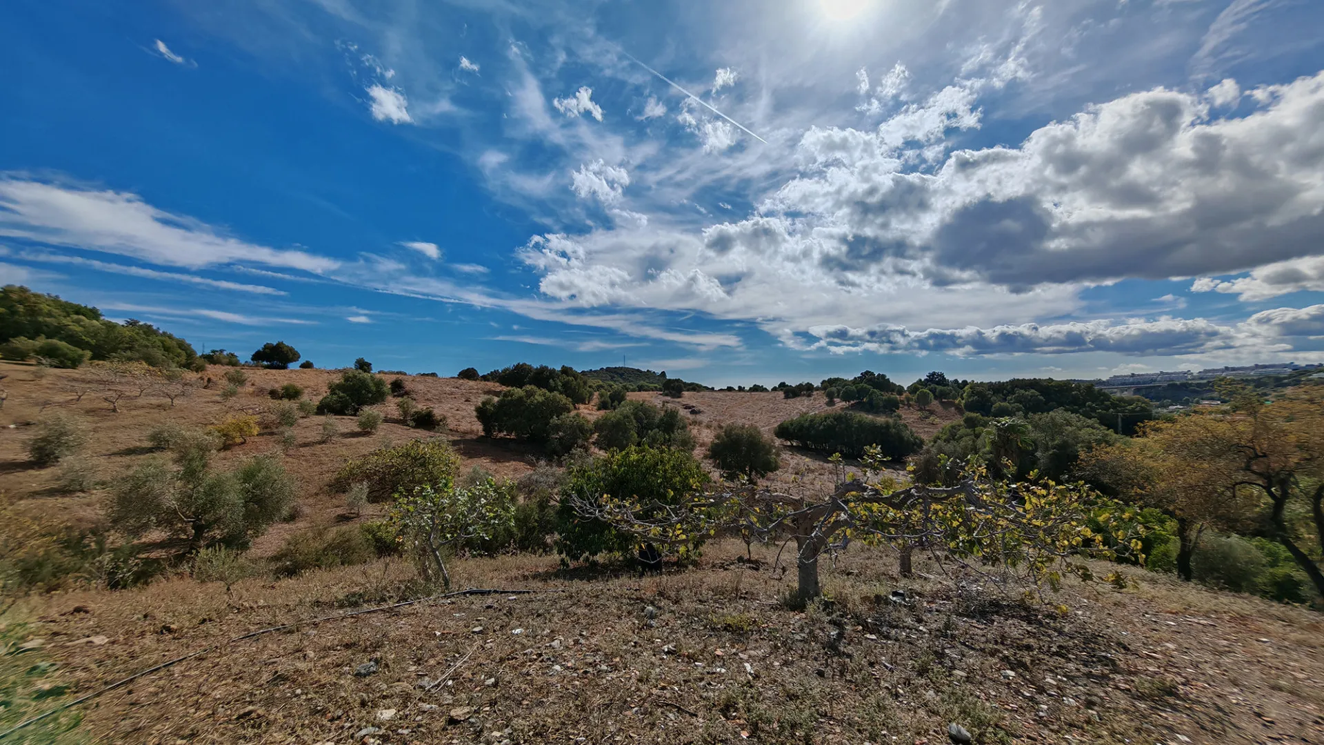 3 bedrooms finca for sale in Guadalobon