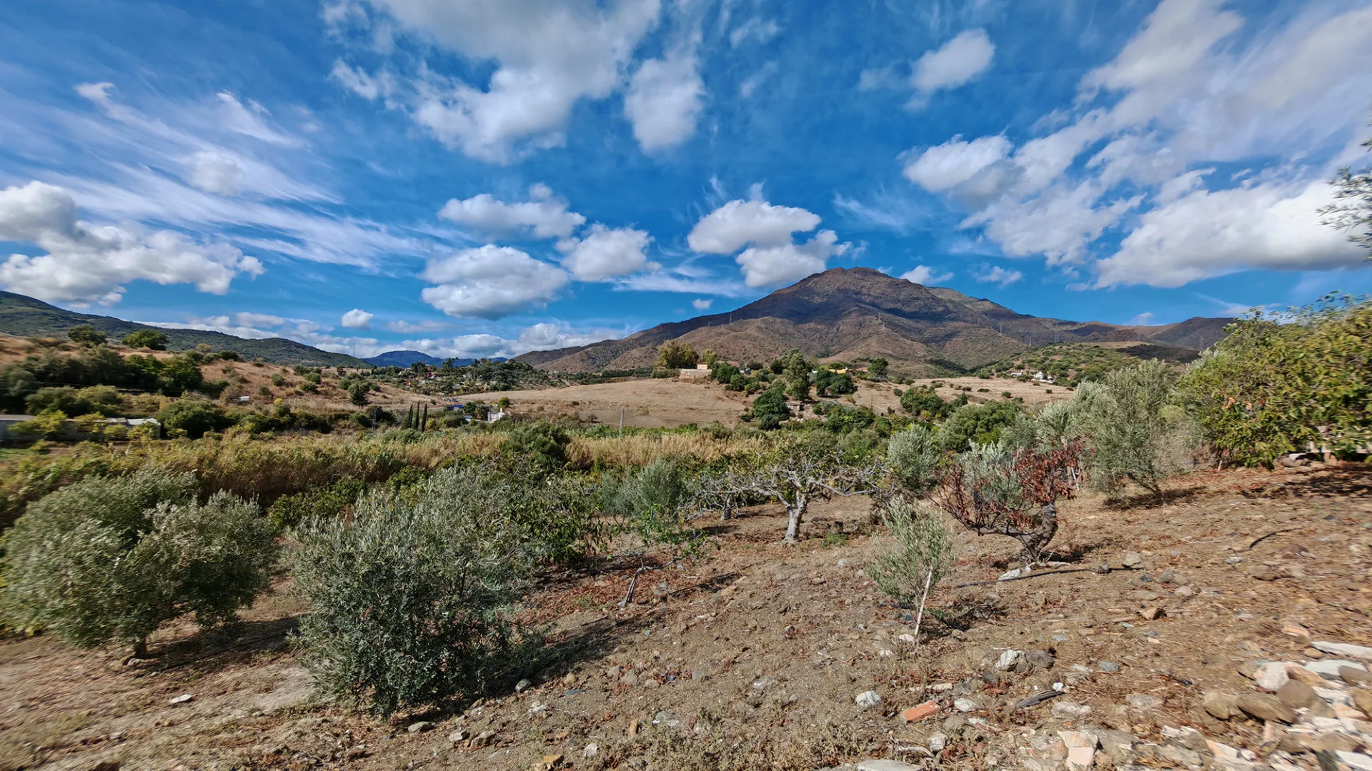 3 bedrooms finca for sale in Guadalobon