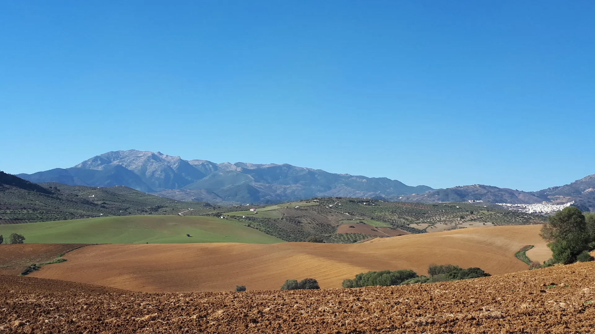 For sale plot in Coin