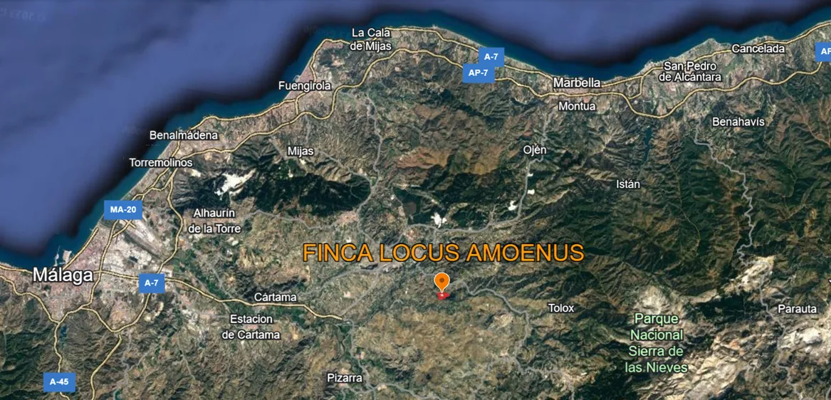 For sale plot in Coin