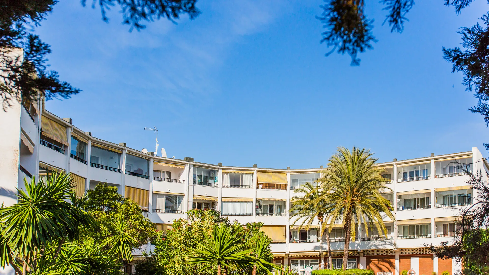 For sale studio in Marbesa