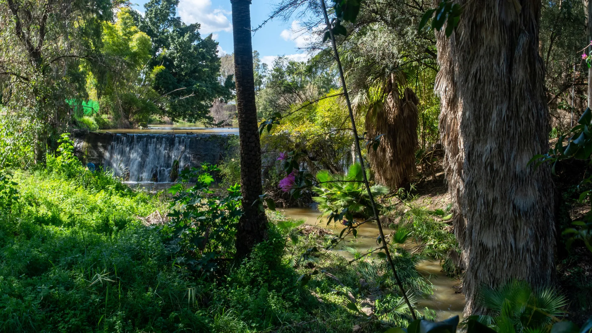 For sale villa in Nueva Andalucia