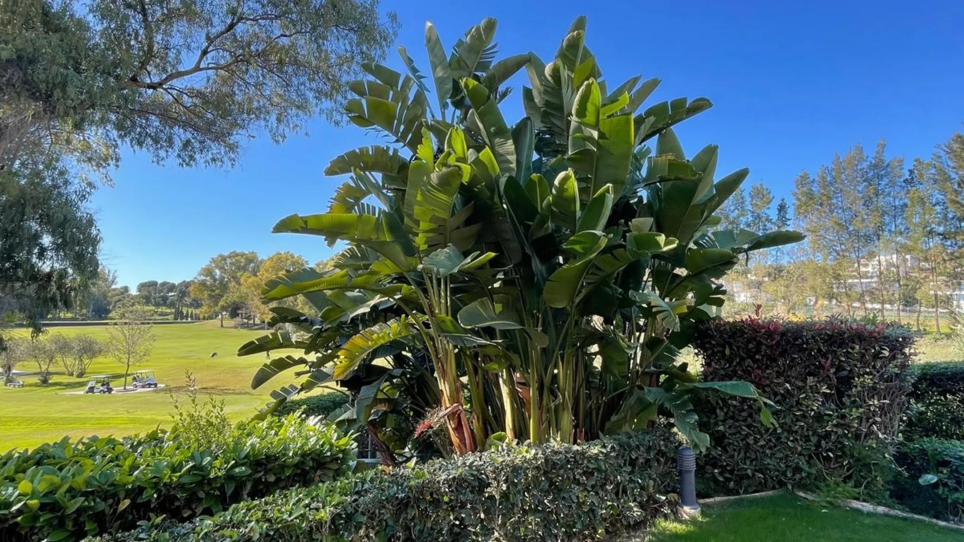 Benatalaya, apartamento en venta con 2 dormitorios