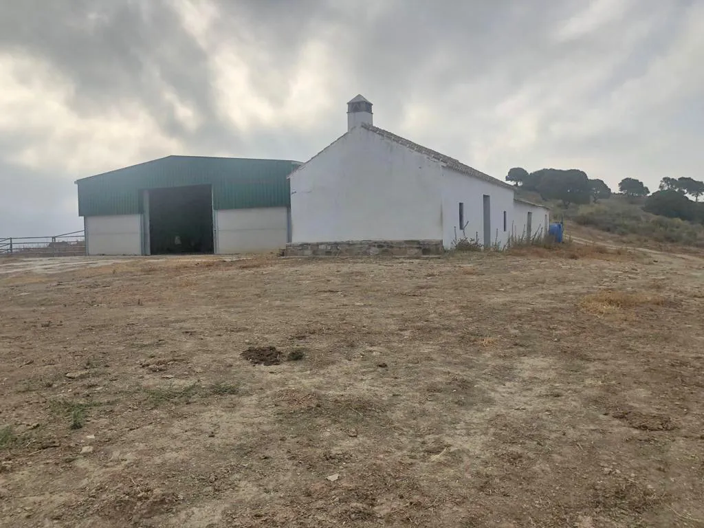 Comprar finca en Gaucin