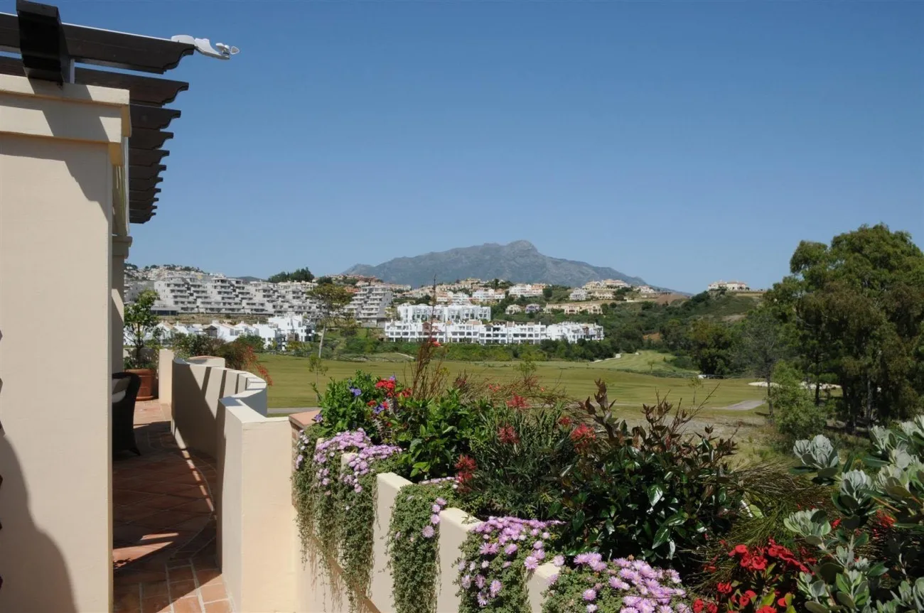 Buy duplex penthouse in Los Capanes del Golf