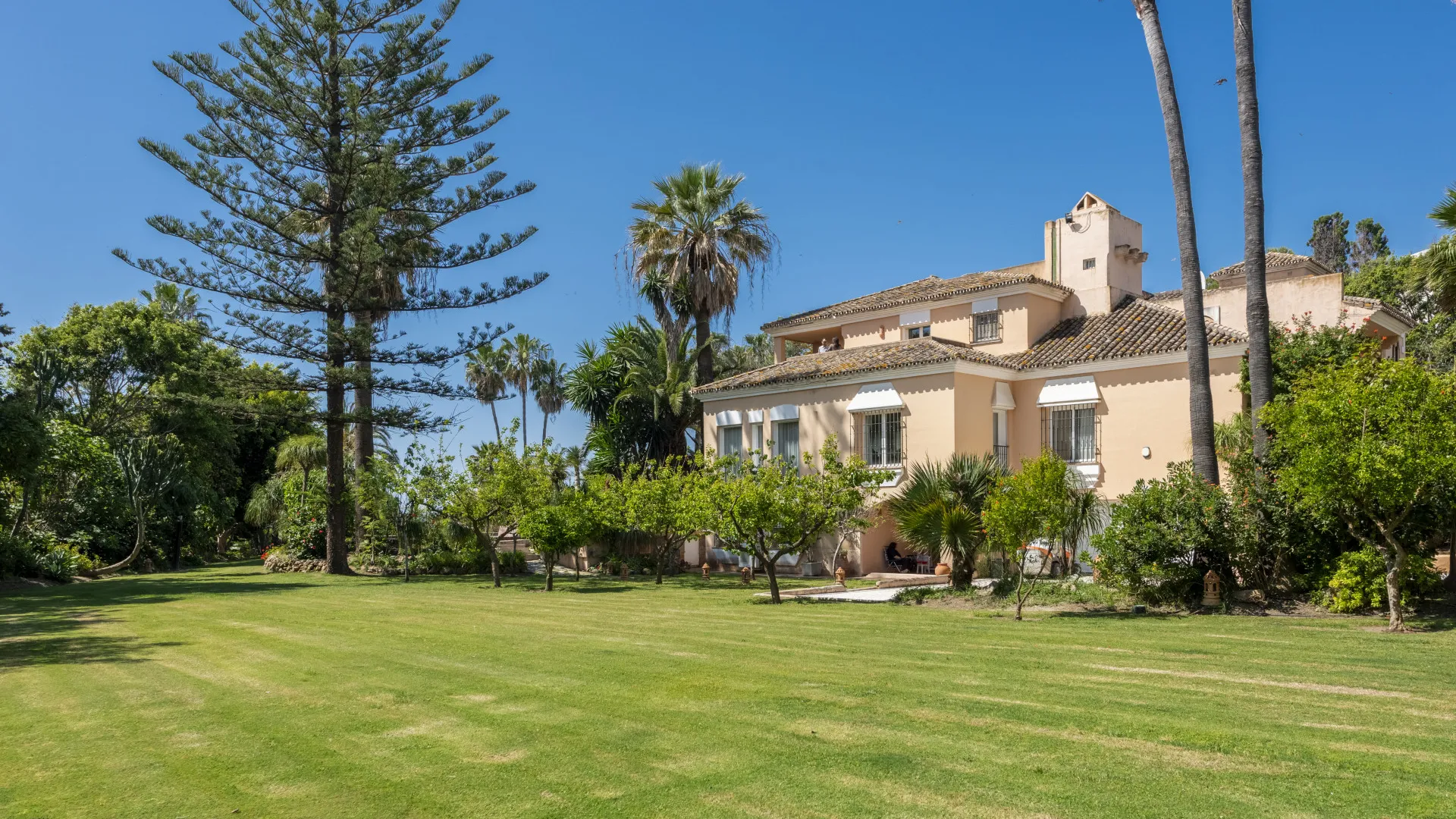 Buy villa in Estepona