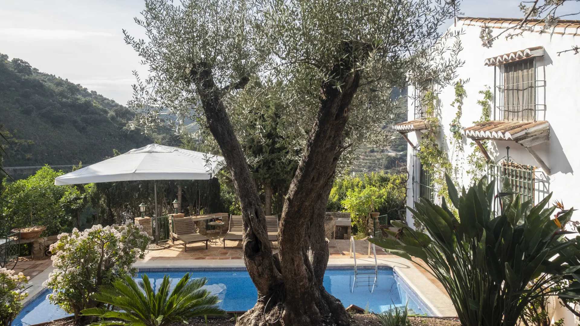 For sale villa in Sayalonga with 6 bedrooms