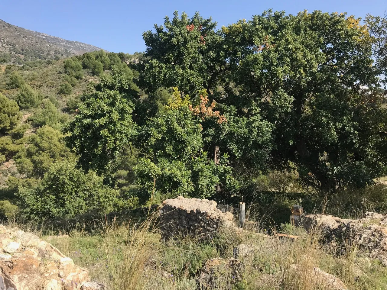 Carretera de Mijas - Alta, parcela a la venta