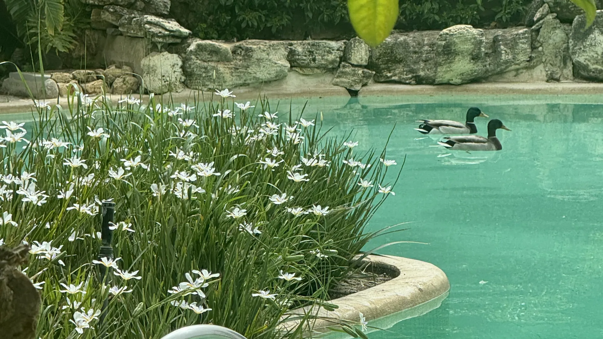 For sale villa with 6 bedrooms in Rio Real Golf