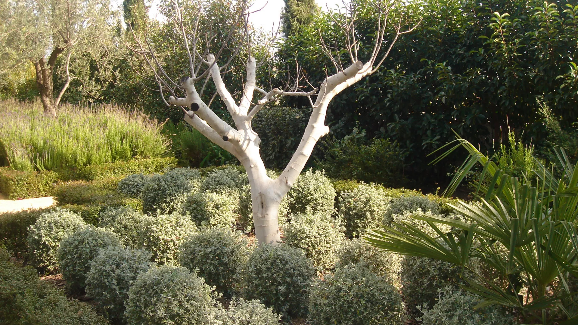 Buy villa with 4 bedrooms in Ronda