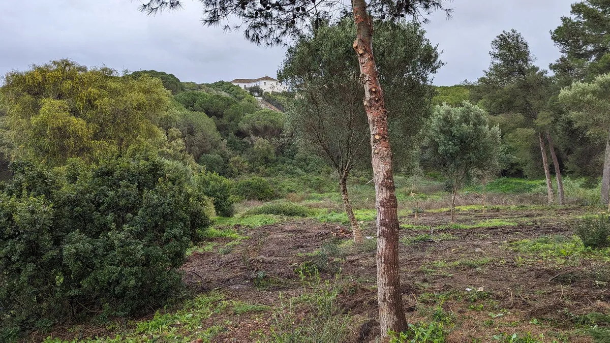 Parcela a la venta en Sotogrande