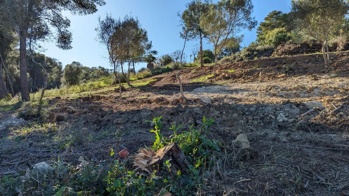 Parcela a la venta en Sotogrande