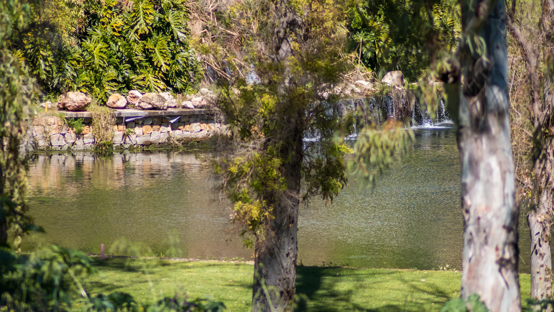 Ático en venta en Guadalmina Alta de 2 dormitorios