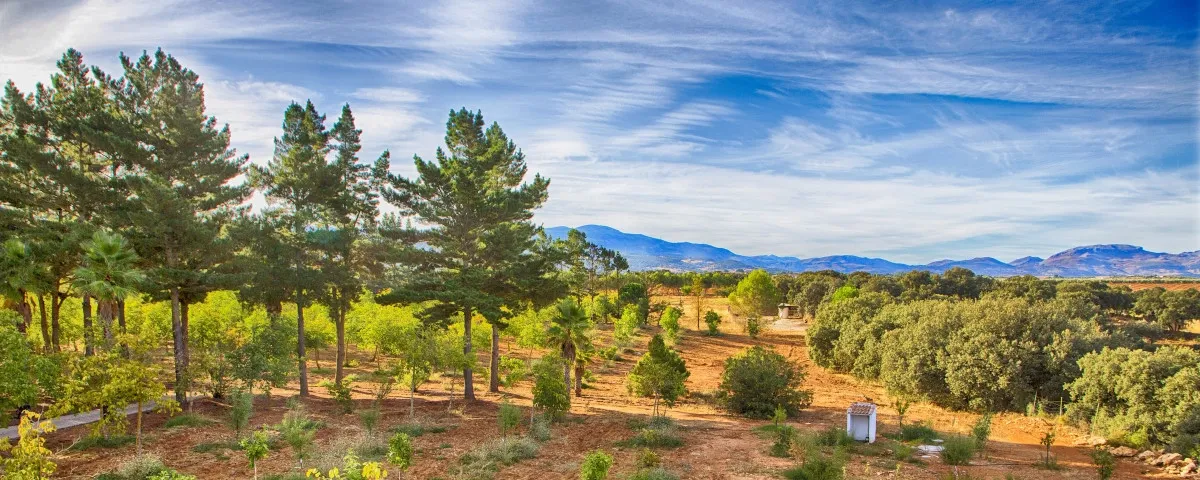 Ronda country house for sale