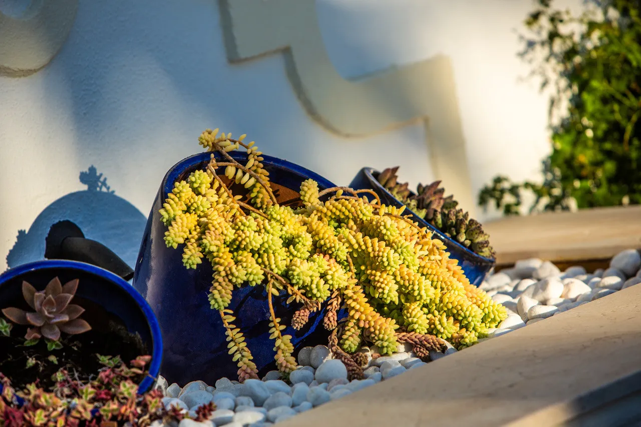 Buy Sotogrande Costa villa with 7 bedrooms