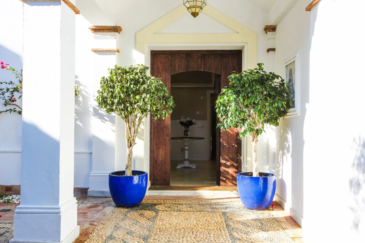 Buy Sotogrande Costa villa with 7 bedrooms