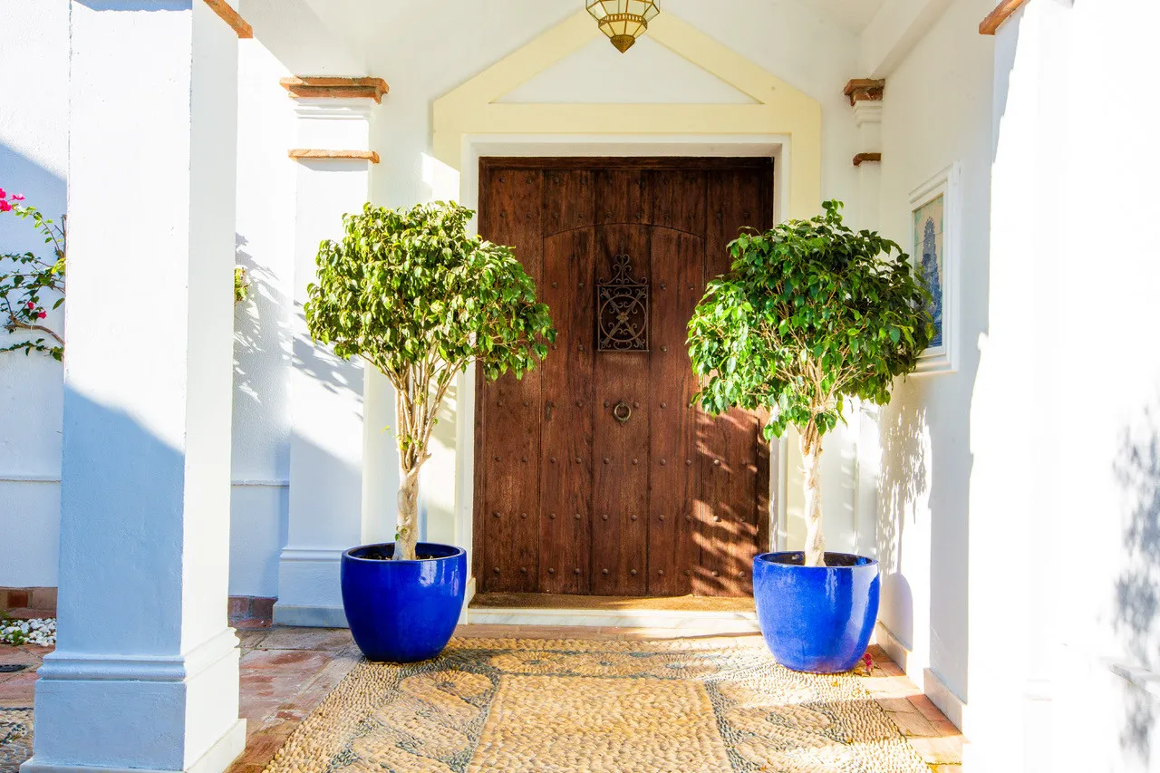 Buy Sotogrande Costa villa with 7 bedrooms