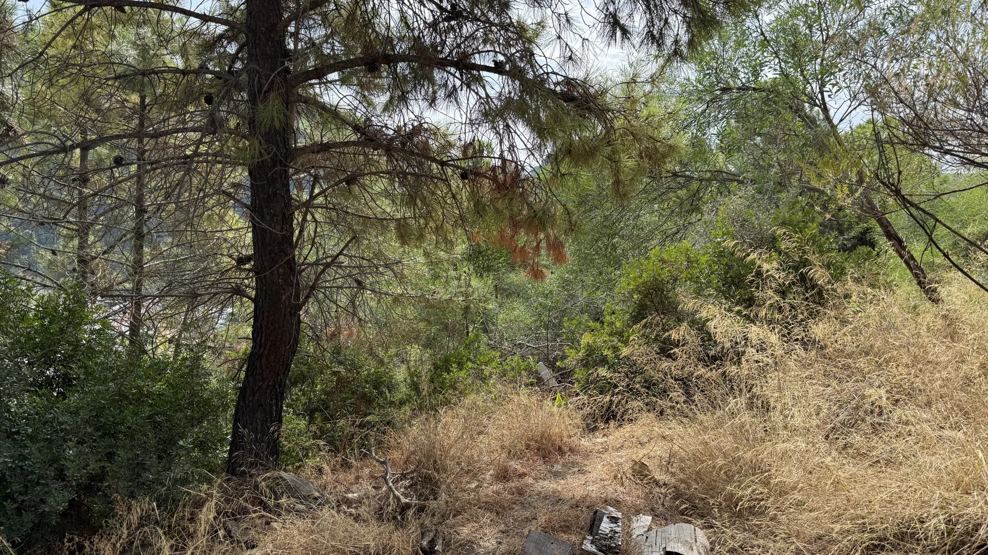 Benahavis Centro, parcela a la venta