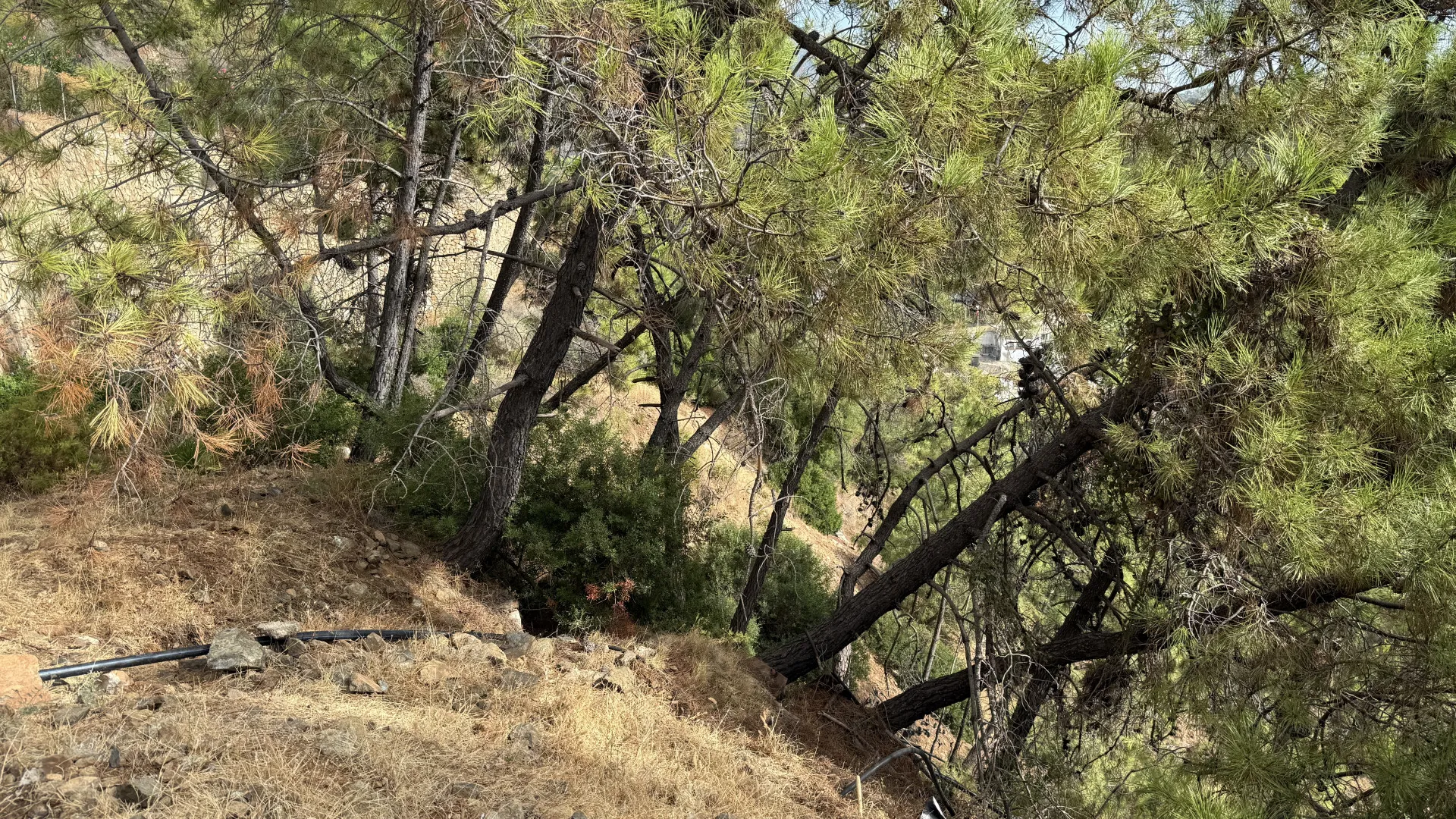 Benahavis Centro, parcela a la venta