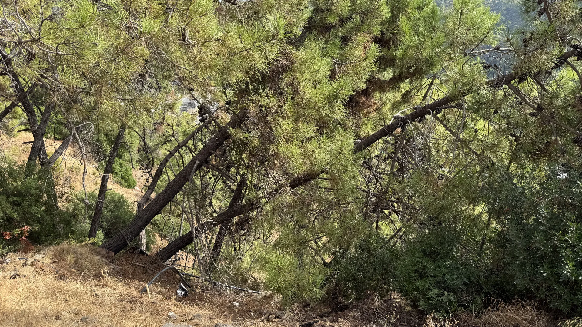 Benahavis Centro, parcela a la venta