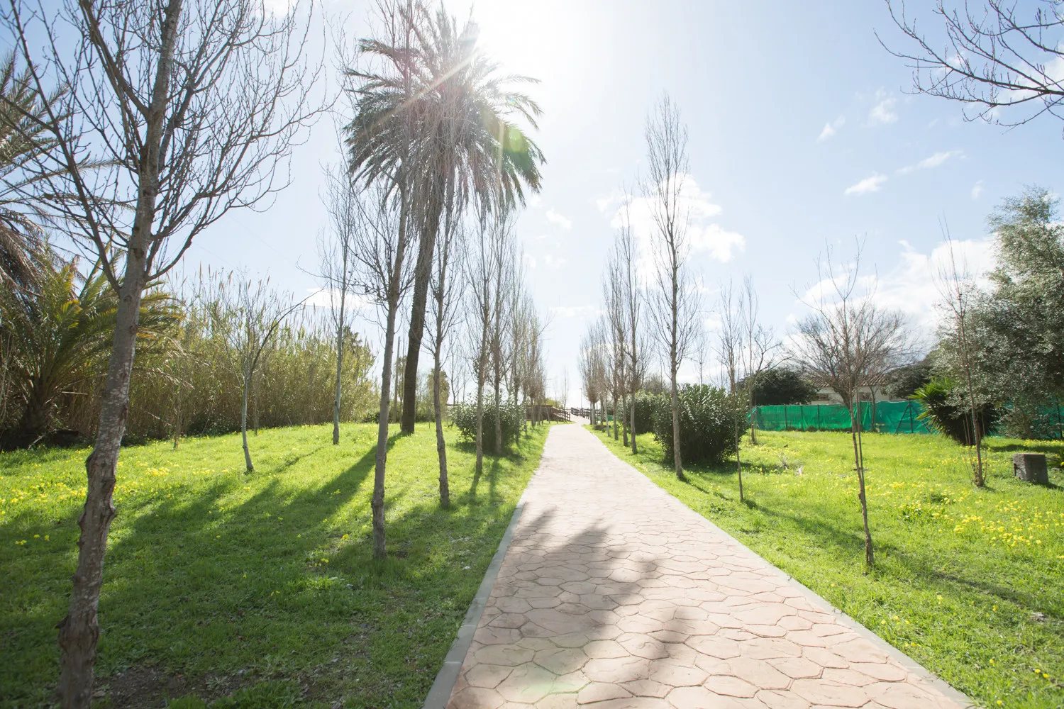 2 bedrooms Costalita house for sale