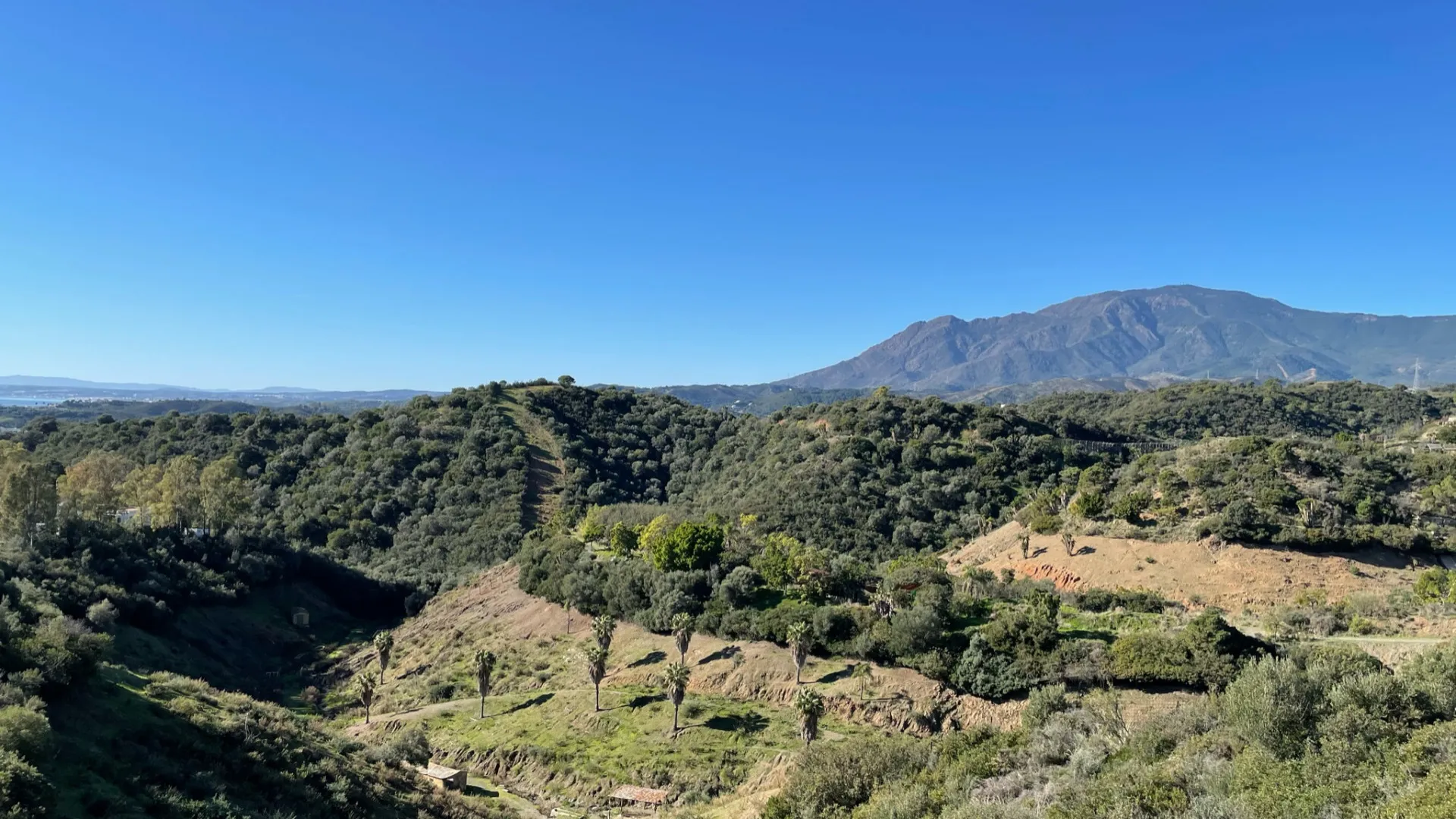 For sale New Golden Mile plot