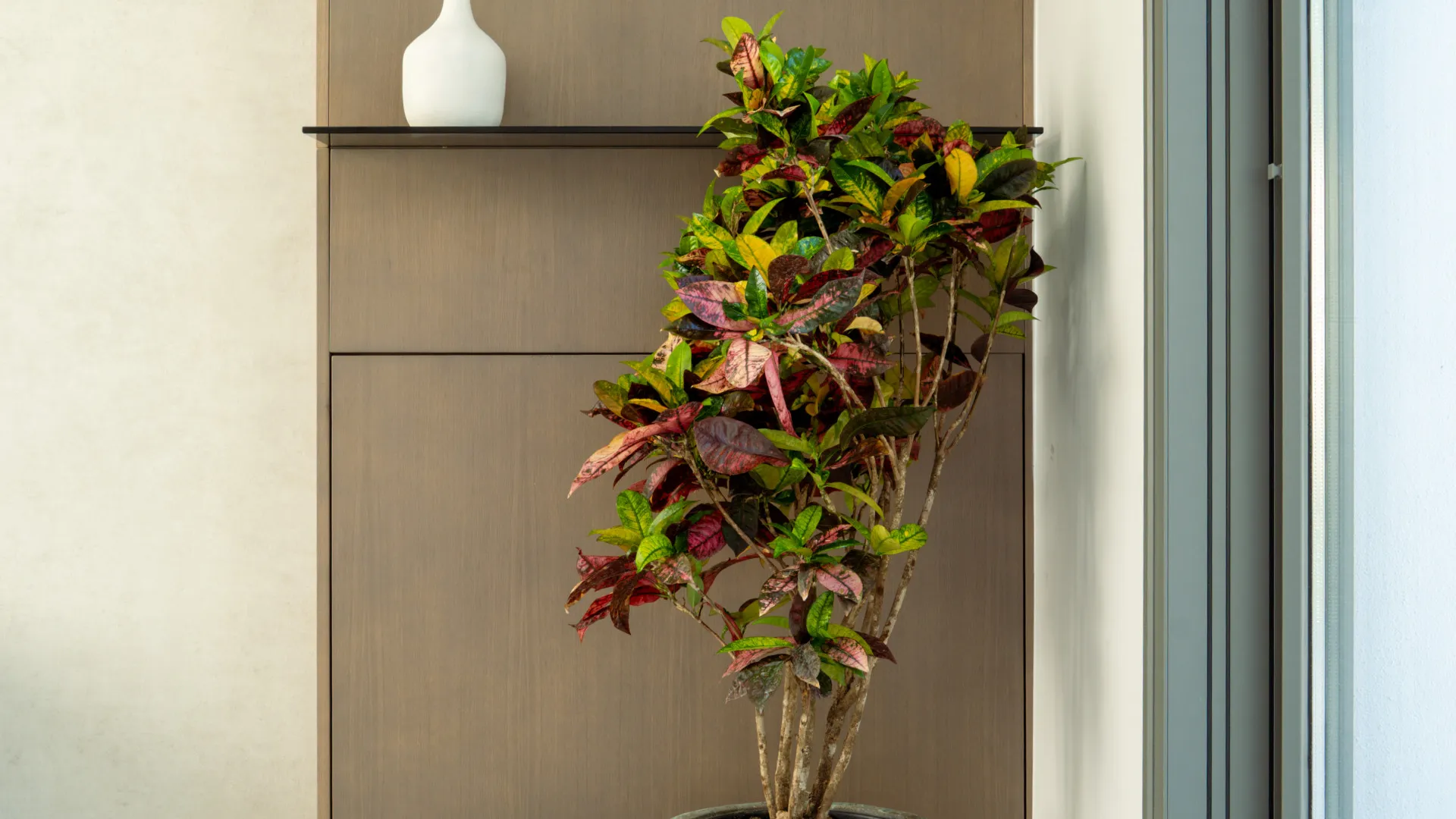 For sale Valle Romano villa