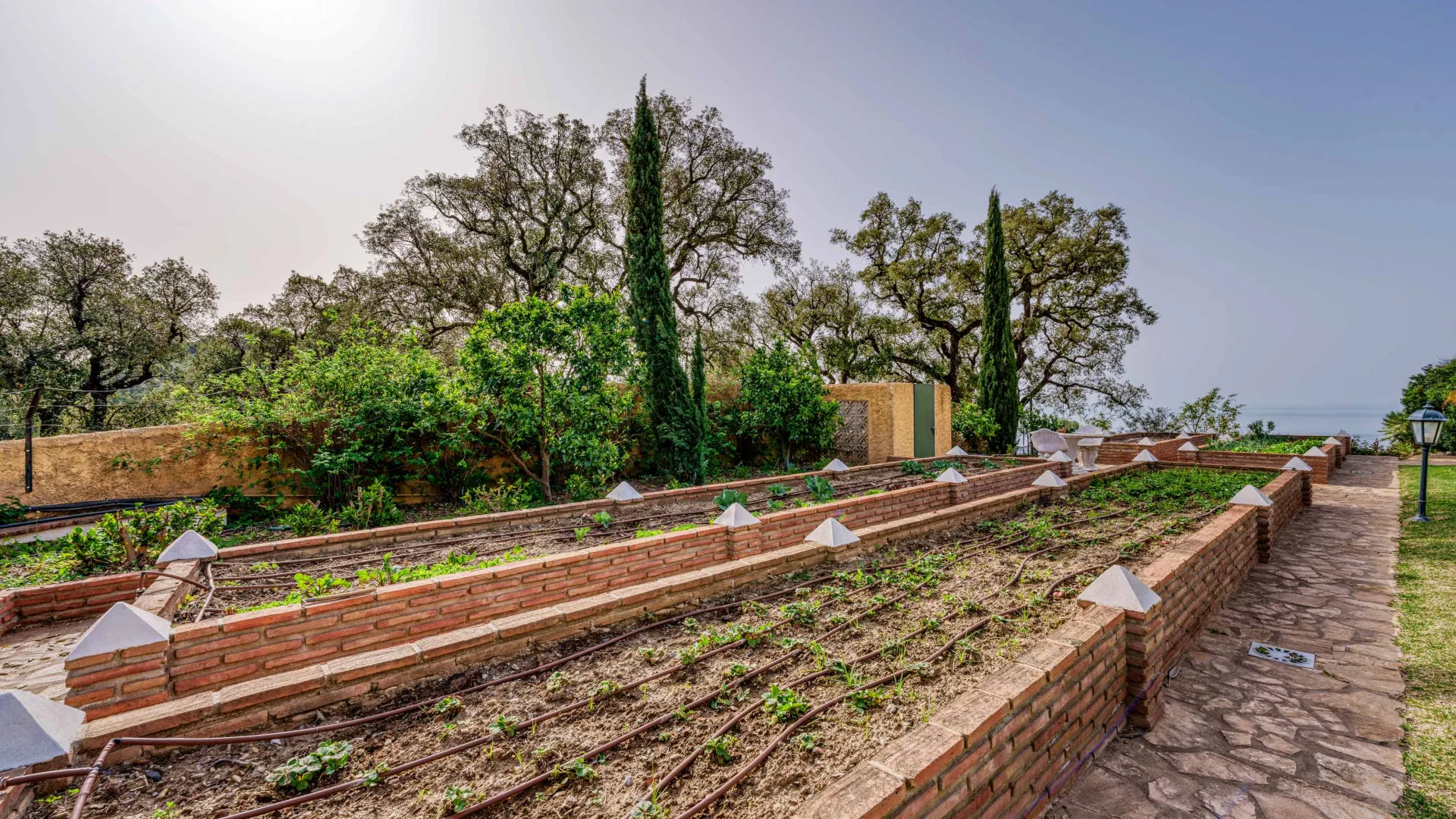 For sale finca in La Mairena with 7 bedrooms