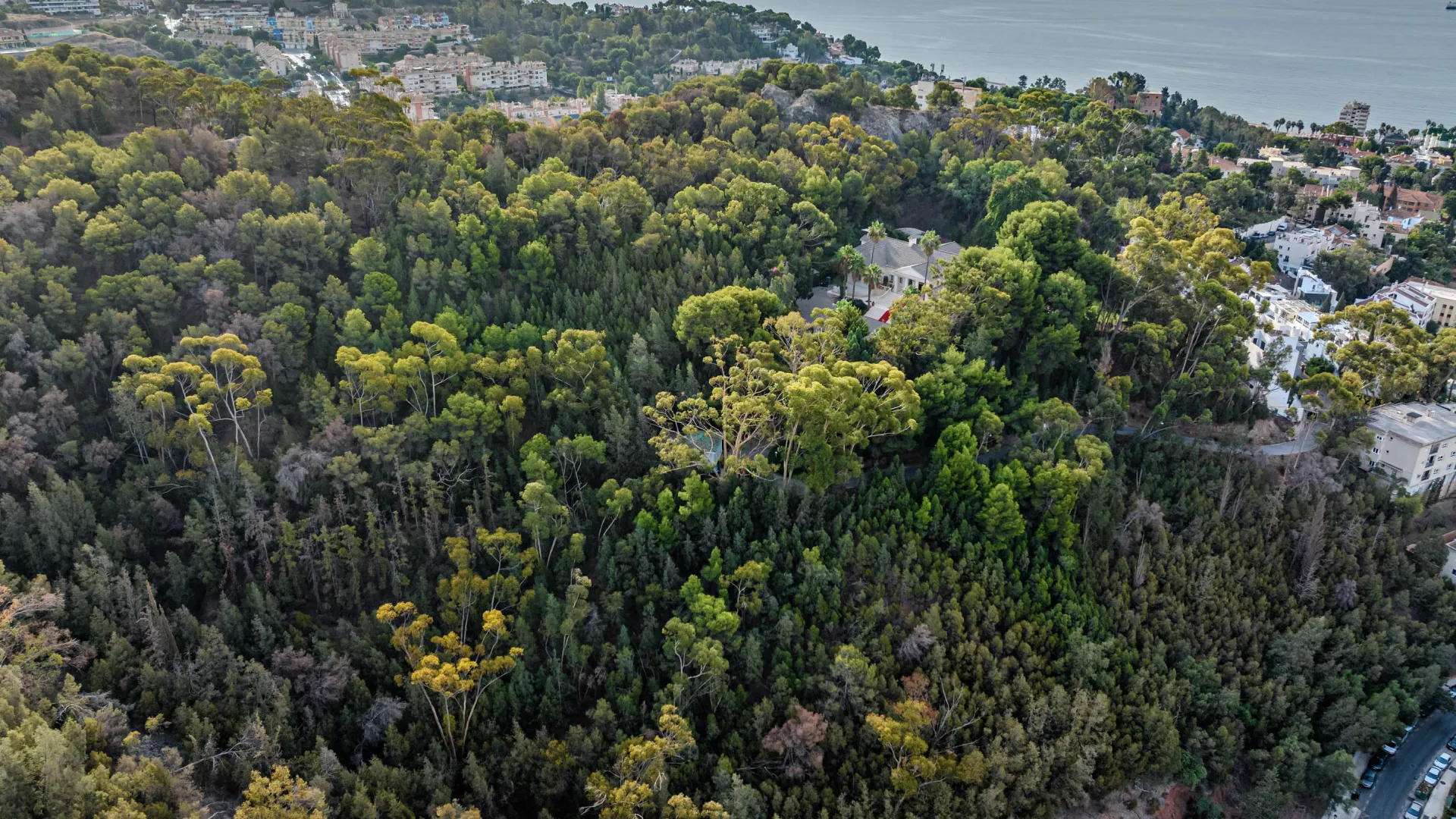 For sale El Limonar palace