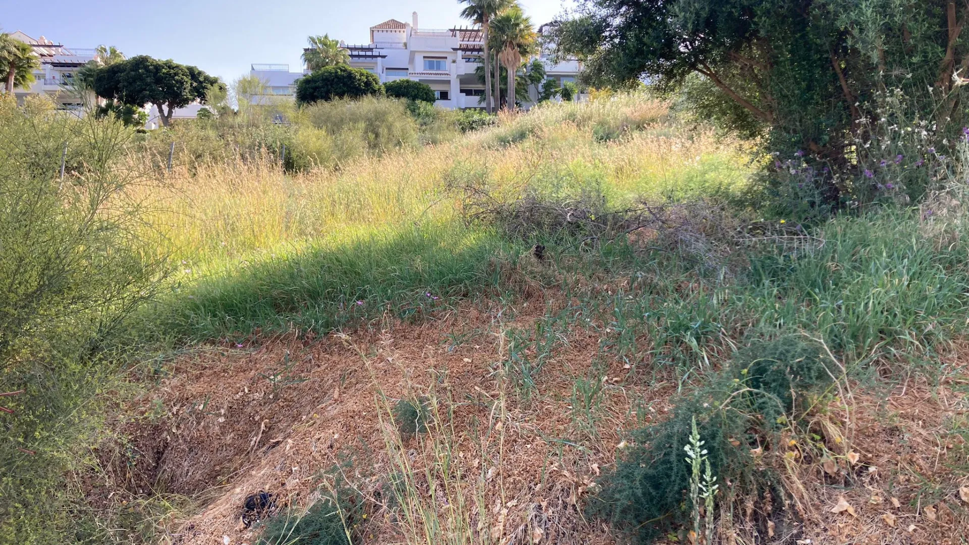 Parcela a la venta en Capanes Sur