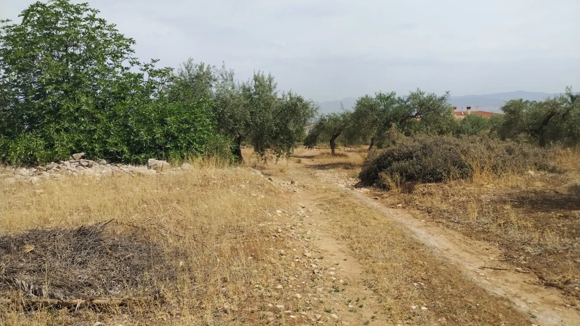 Plot for sale in Alhaurin de la Torre