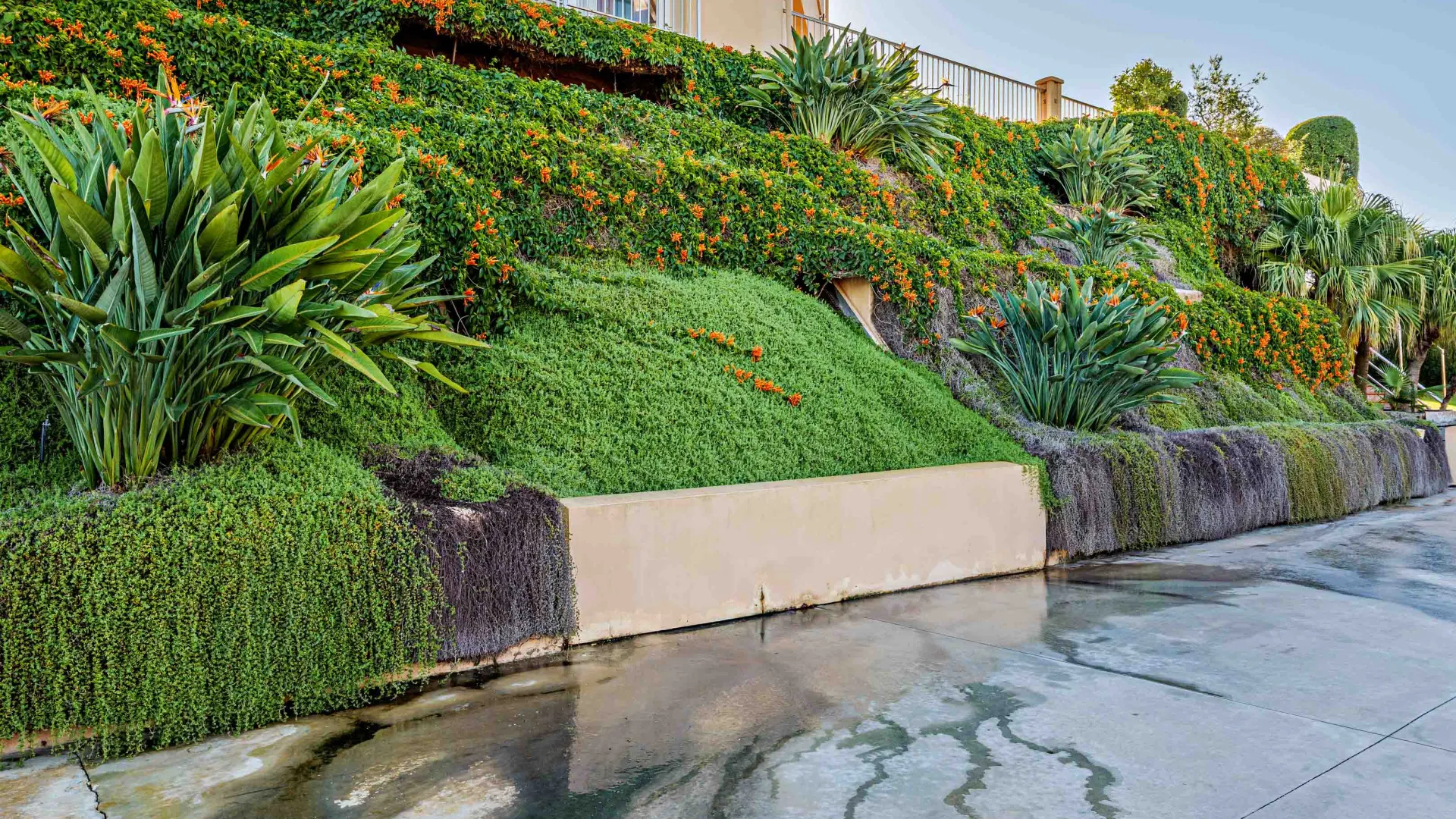 Estate with 10 bedrooms for sale in Alhaurin de la Torre