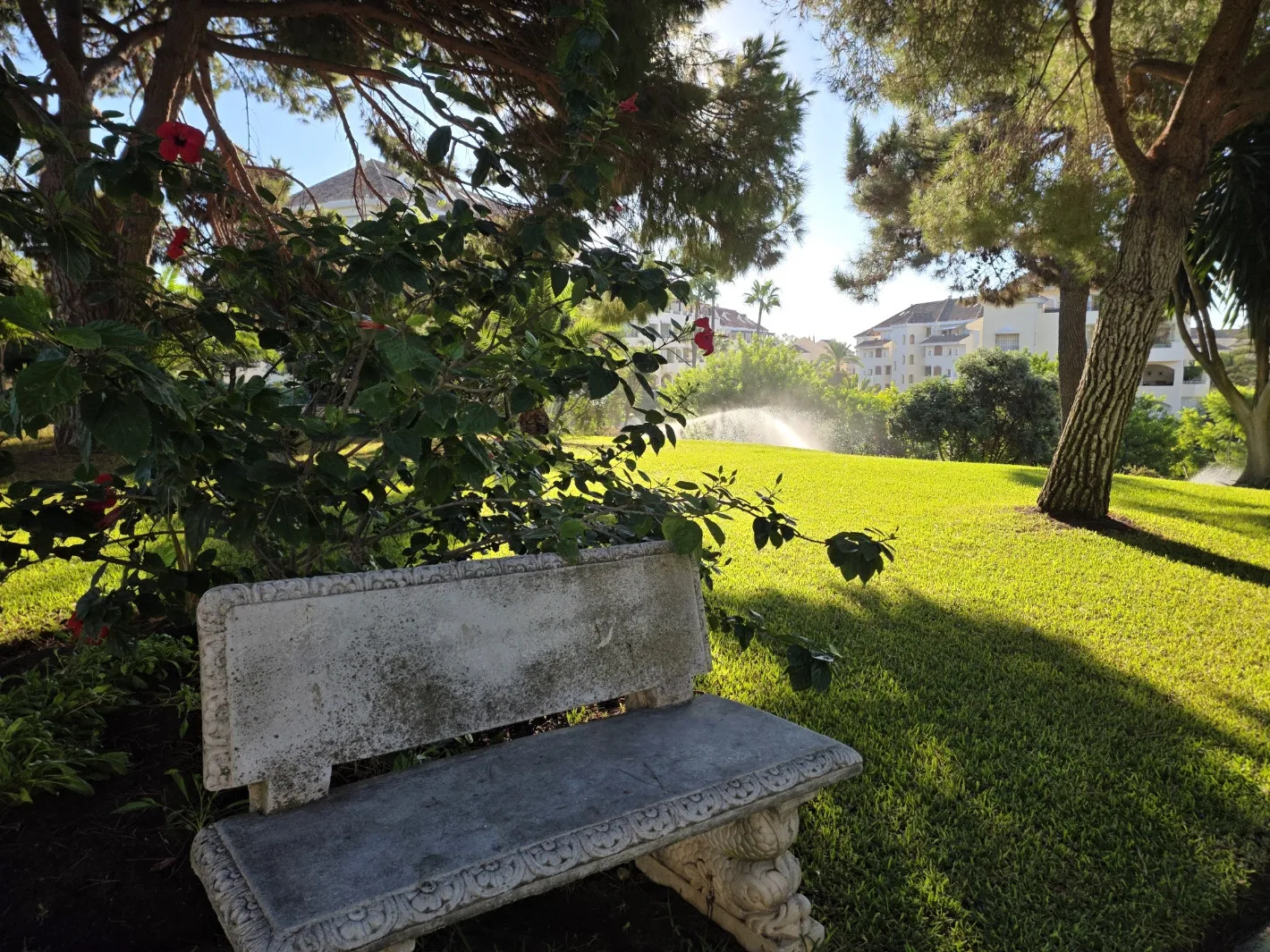 Don Carlos studio for sale