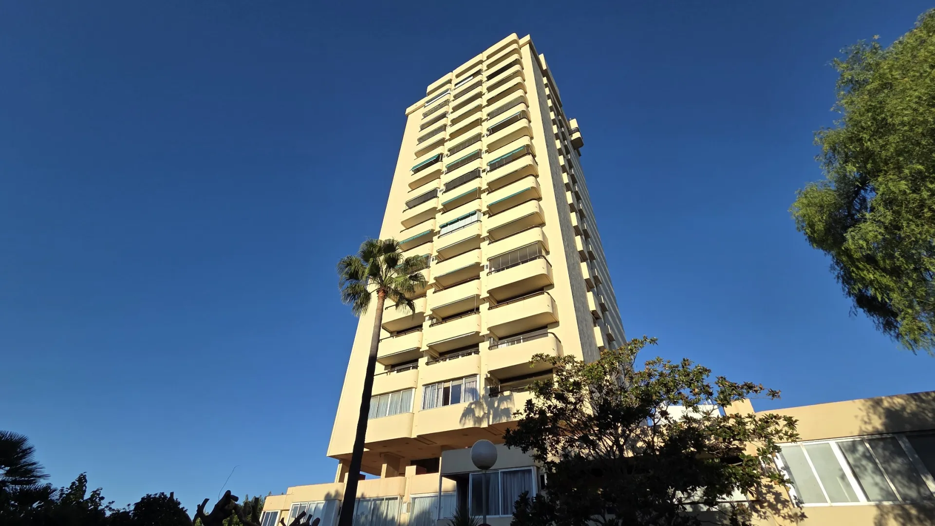 Don Carlos studio for sale