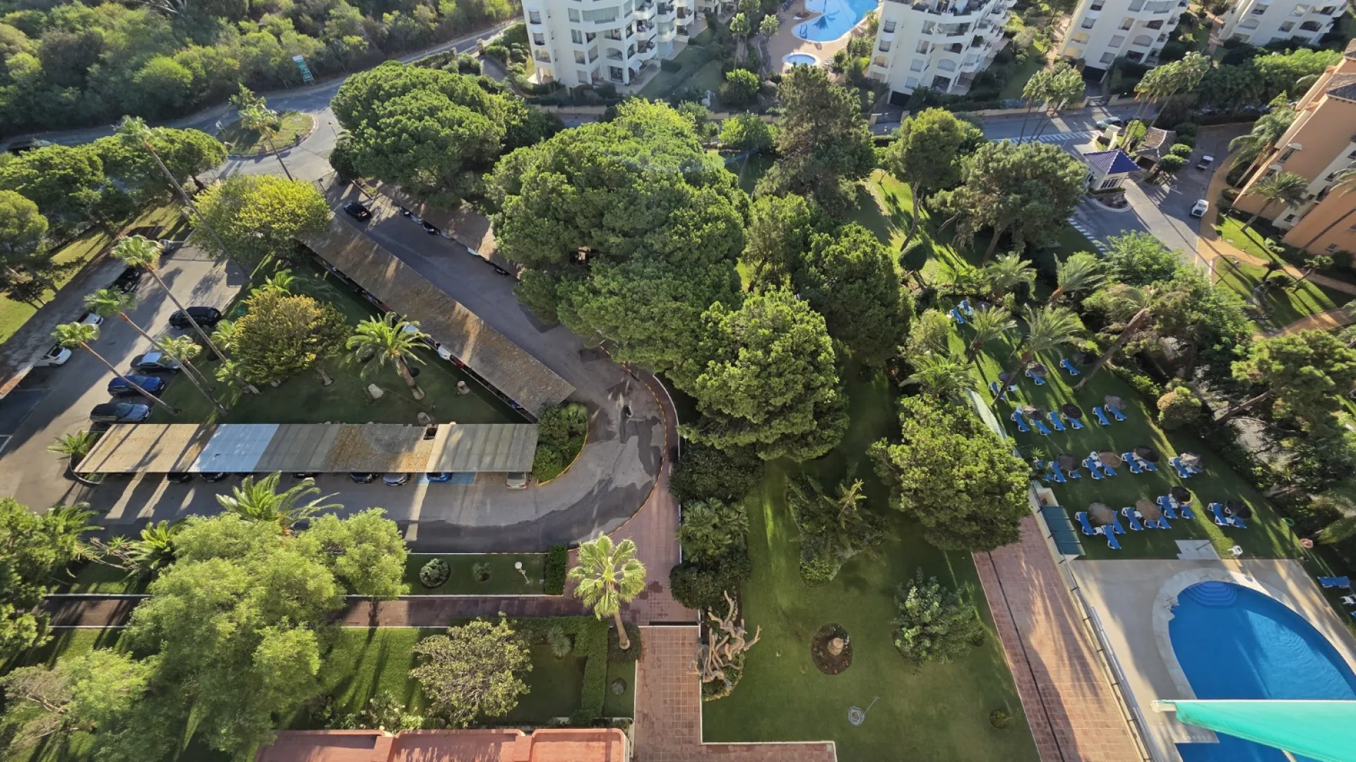 Don Carlos studio for sale