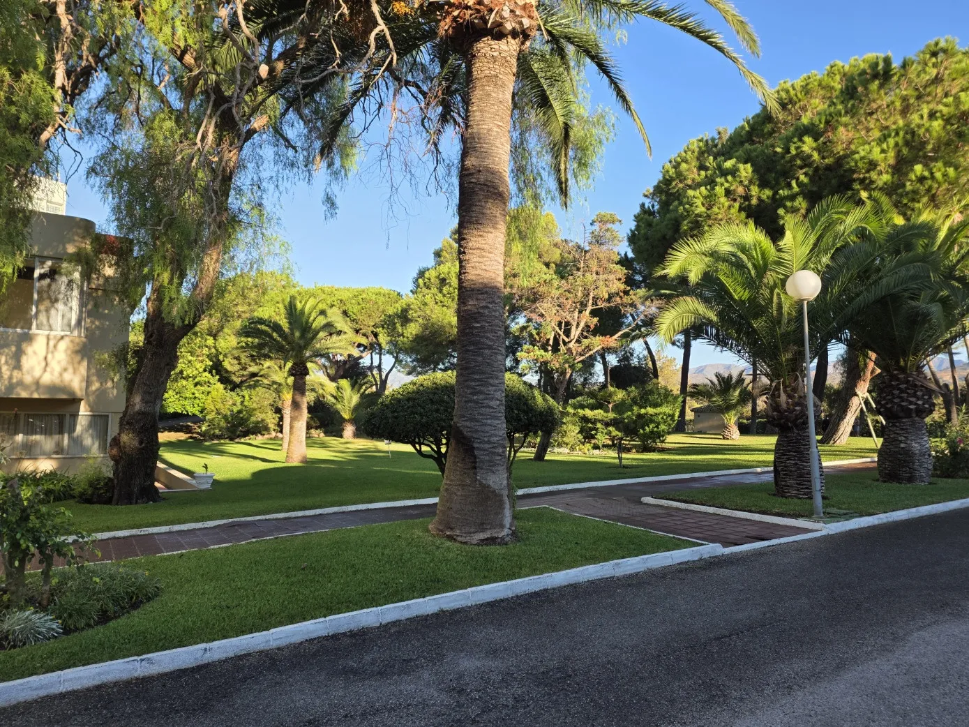 Don Carlos studio for sale