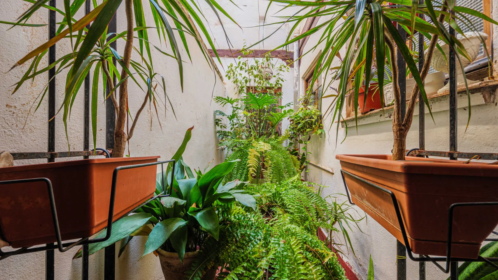 For sale unique building in Centro Histórico