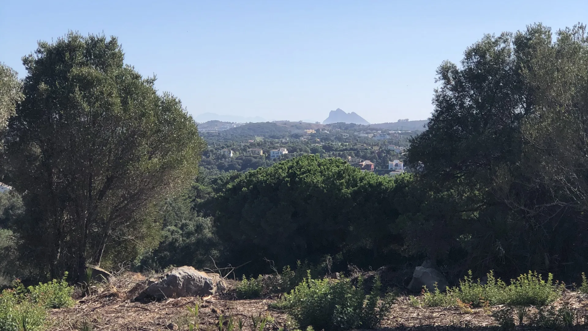 Plot for sale in Zona L