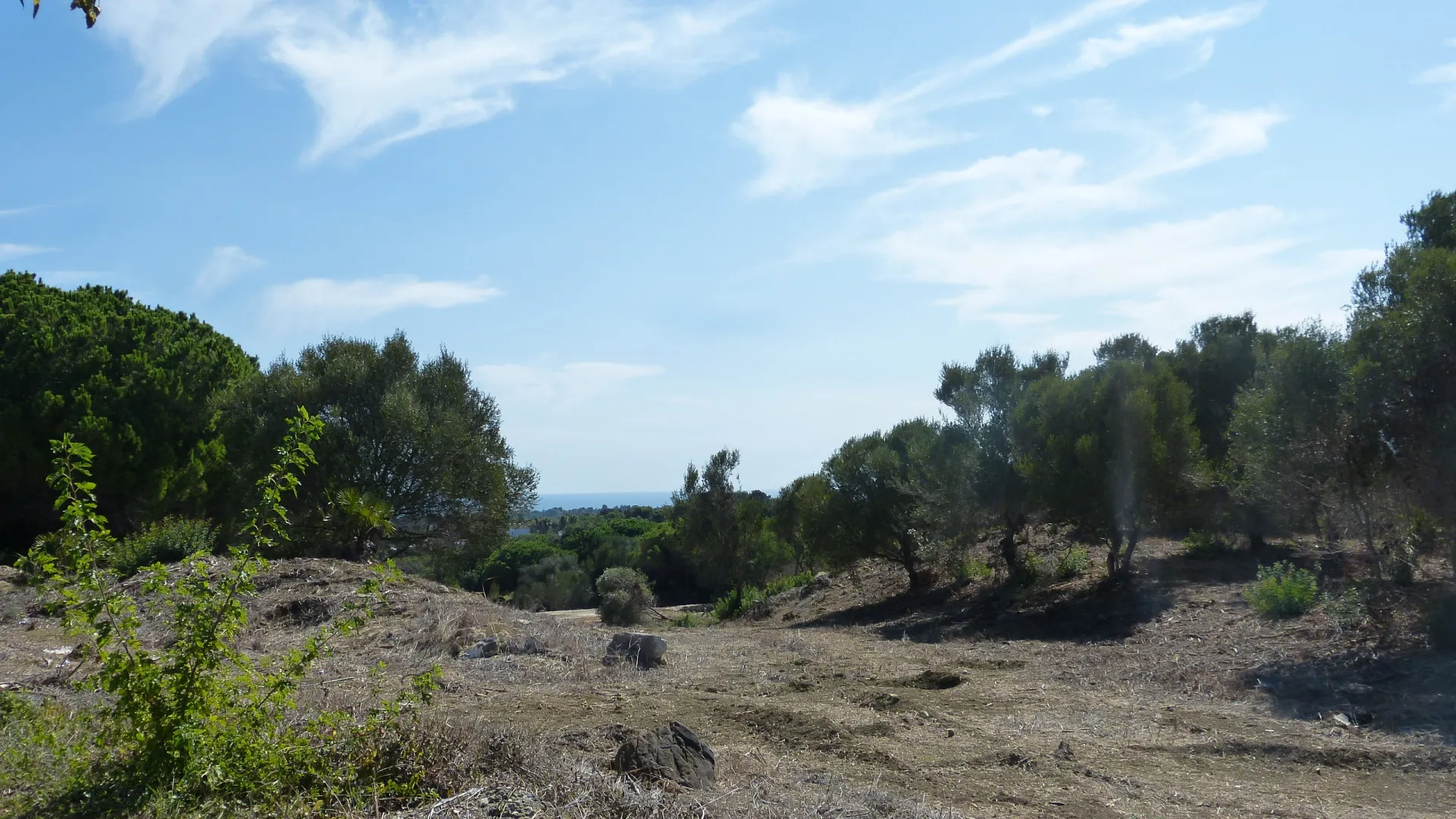 Plot in Zona L for sale