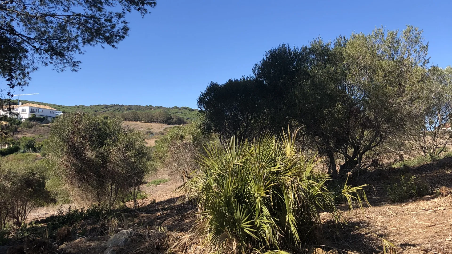 Plot in Zona L for sale