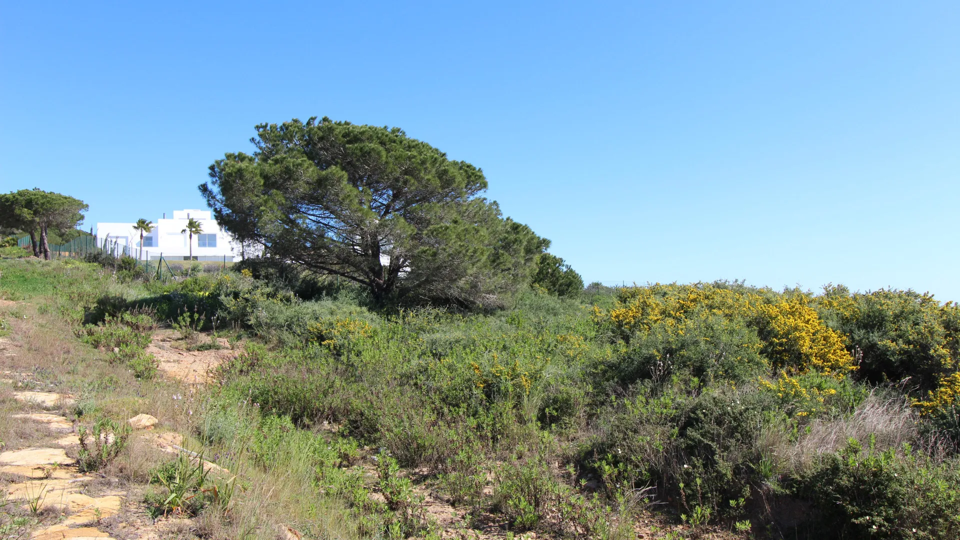 Plot for sale in La Reserva