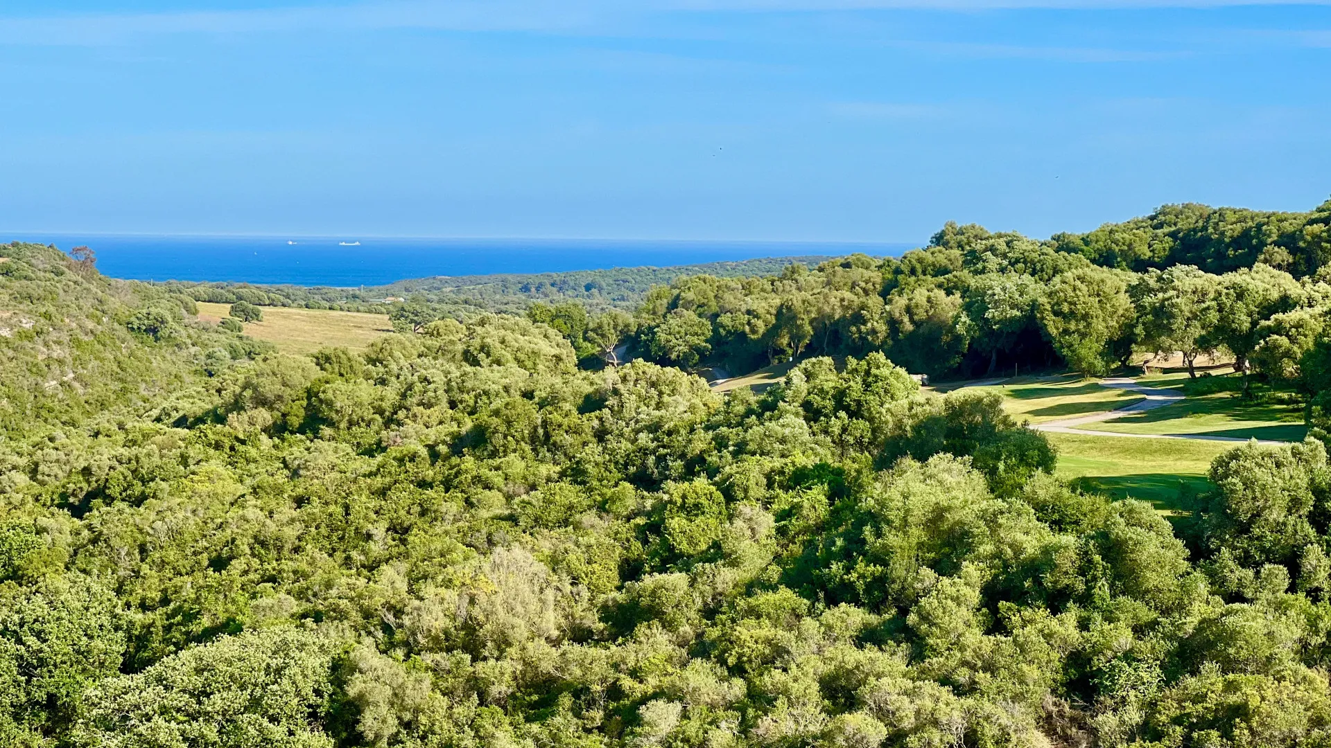 For sale 7 bedrooms villa in Zona F