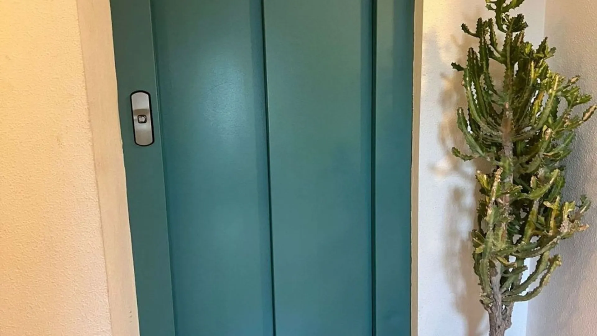 Flat for sale in San Pedro de Alcantara with 2 bedrooms