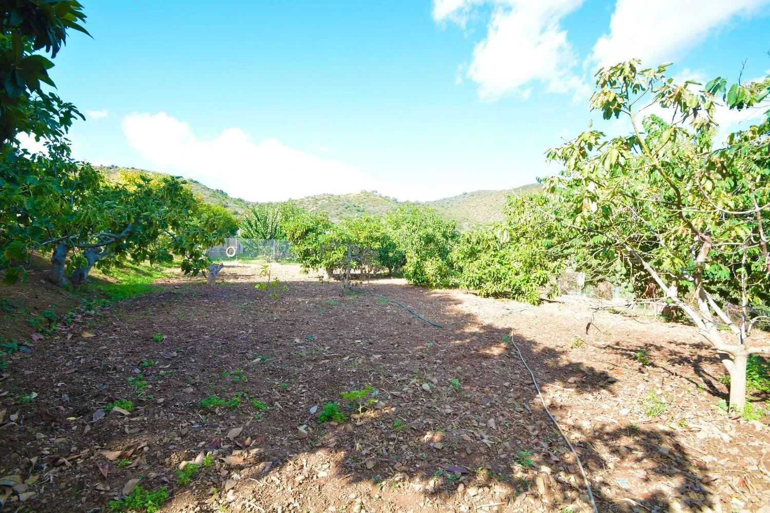 Country house for sale in Los Altos de los Monteros