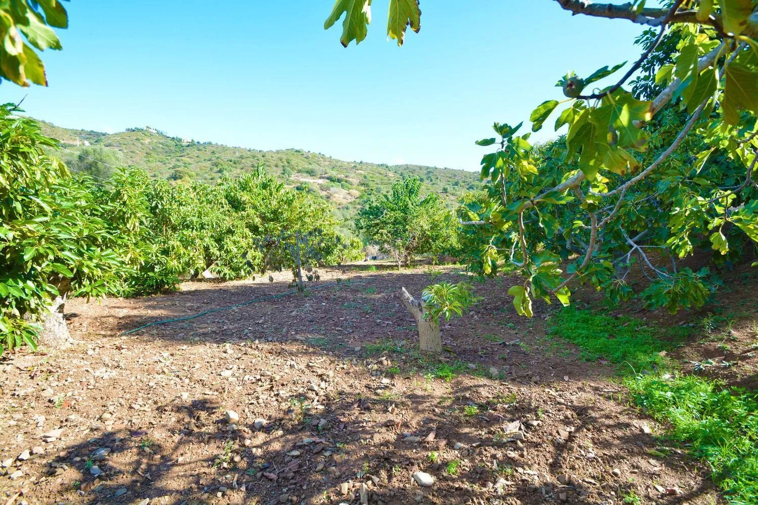 Country house for sale in Los Altos de los Monteros