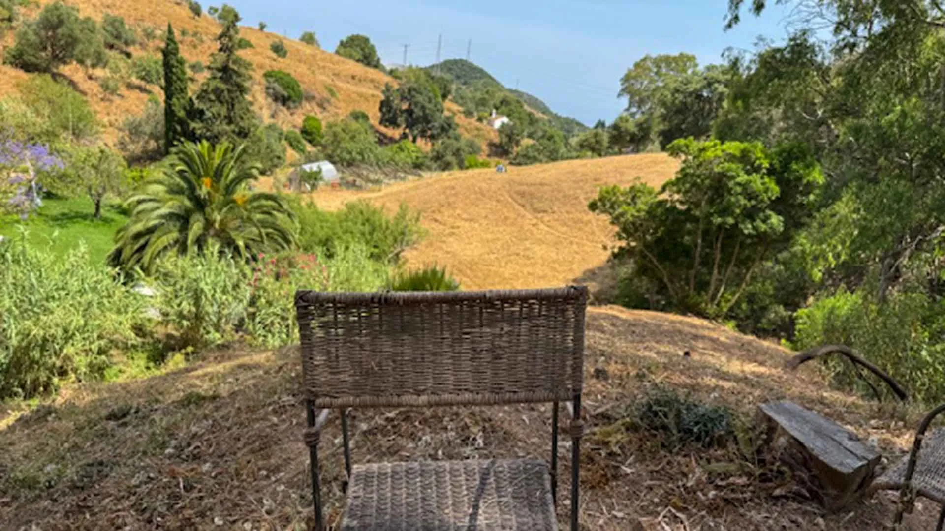 Casares, finca en venta