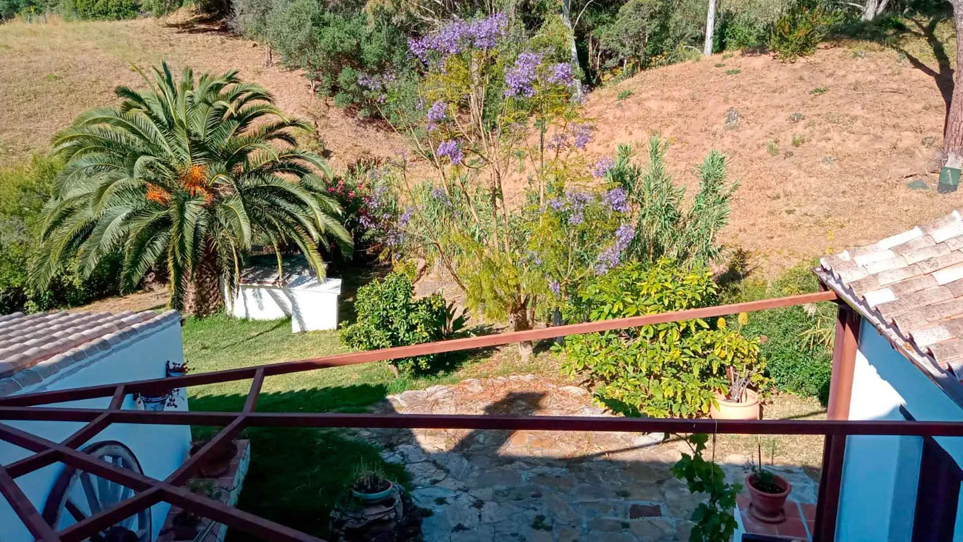 Casares, finca en venta