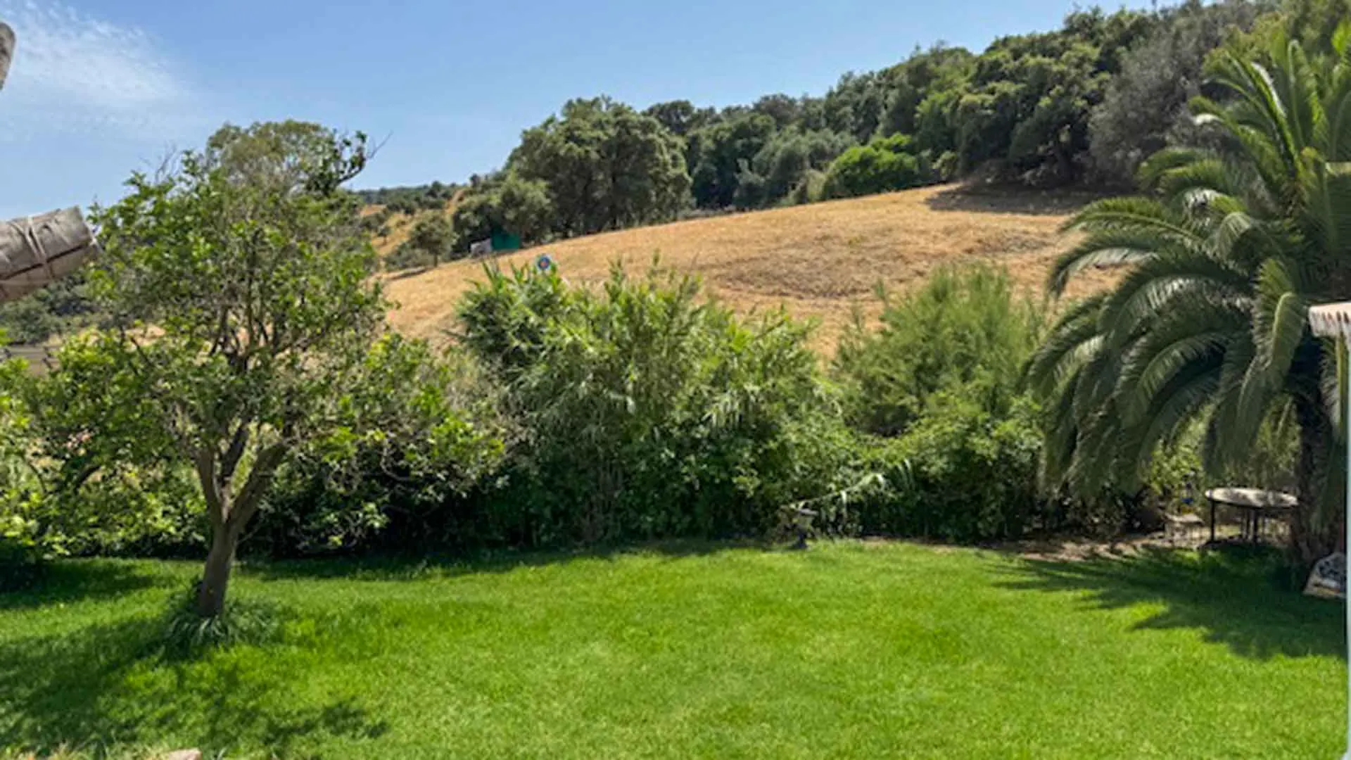 Casares, finca en venta